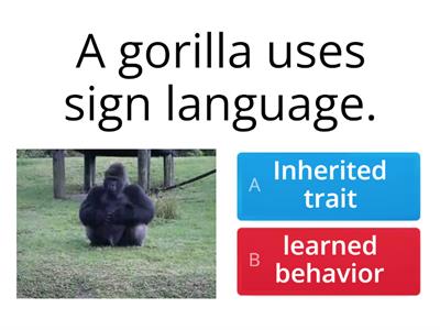 Inherited Traits or Learned Behaviors bibb