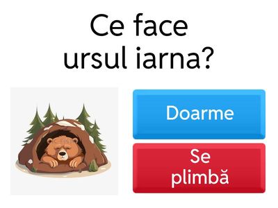 Ursul Brumi și proviziile de iarnă