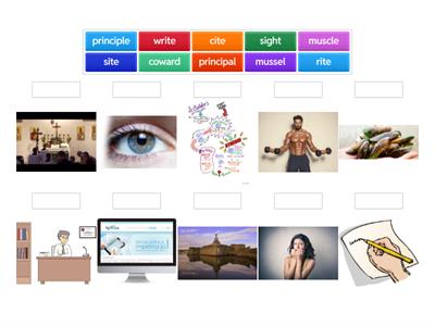 5th grade HMH M 8.1- Homophones