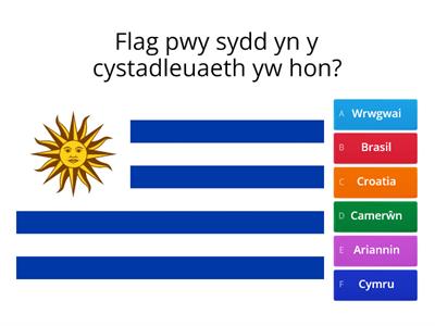 Cwpan Y Byd - Pel Droed