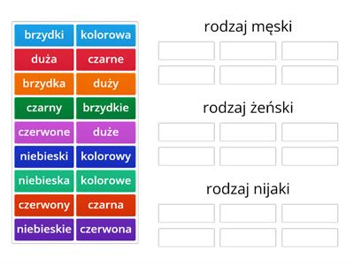 Rodzaj przymiotnika 