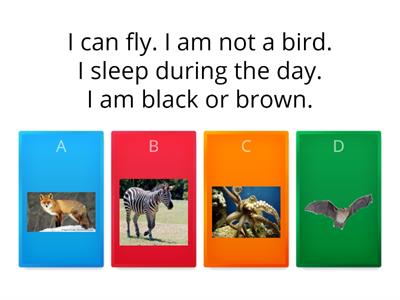 Animal riddles EFL