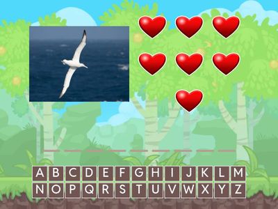 Unit 4: Amazing Lifes - Animals