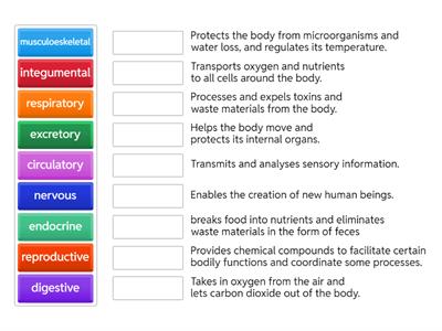 Body systems and functions