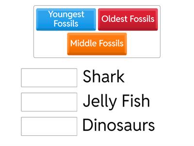 Grade 4- Unit 5- Lesson 1&2