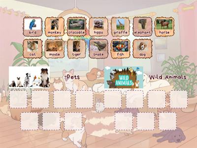 KB 1 Unit 7 Wild animals/Pets sorting