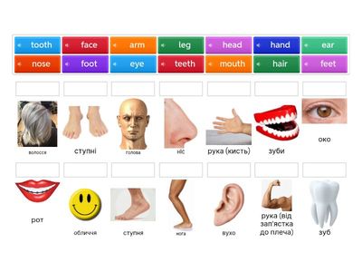 Prepare 5 Unit 5 Parts of the body