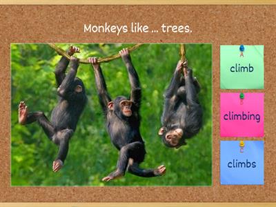 A2 Flyers GRAMMAR Practice