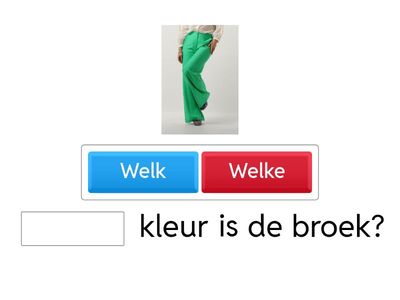 A1 6.6 Welk of welke? 