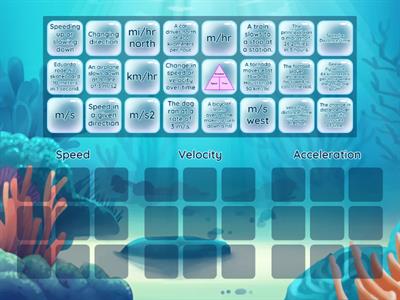 Speed, Velocity, & Acceleration