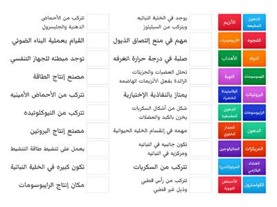 تركيب الخليه : أحياء3