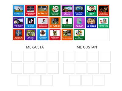 MIS GUSTOS - gusta vs. gustan