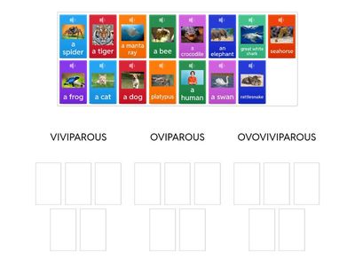 VIVIPAROUS, OVIPAROUS OR OVOVIVIPAROUS