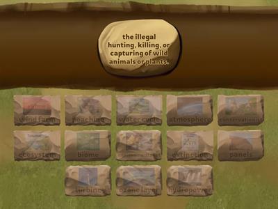 New Environmental Science Definitions