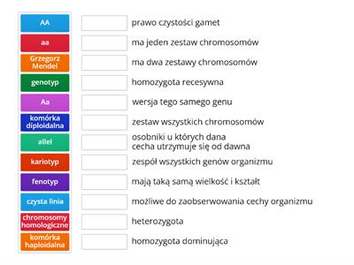 Genetyka, dziedziczenie podstawy