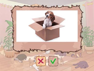 under/on/in/next to/