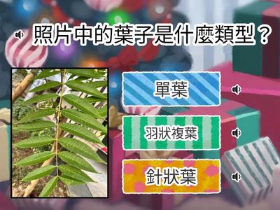 樹葉精靈_國小丙