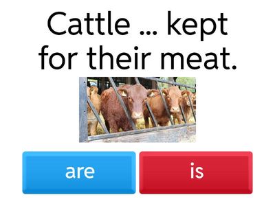 Plural or singular nouns