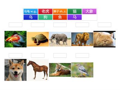 Легкий китайский 1_ 11 урок 拼音