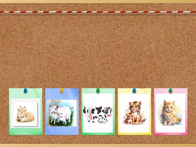 ЧТЕНИЕ Ё ПРЕДЛОЖЕНИЯ 