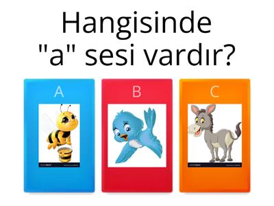  "A" Sesi Çalışması