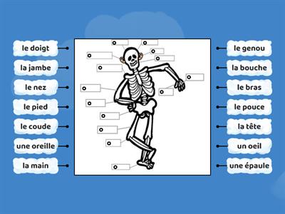 Goofy-eared skeleton