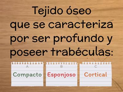 Generalidades del hueso y sistema esquelético