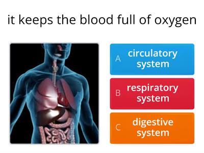 respiratory system