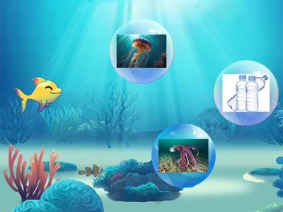 Vamos salvar os oceanos