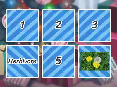 006_What do animals eat?