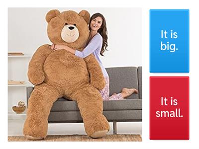 Tots 1 - Unit 3 - Adjectives