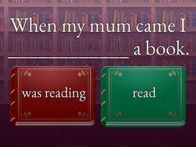 Past Simple Past Continuous when\while