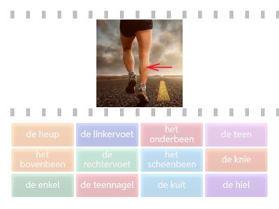 Woordenschat 13 (Groep 3)