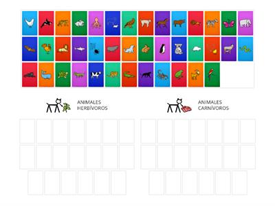 CLASIFICACIÓN HERBÍVOROS-CARNÍVOROS