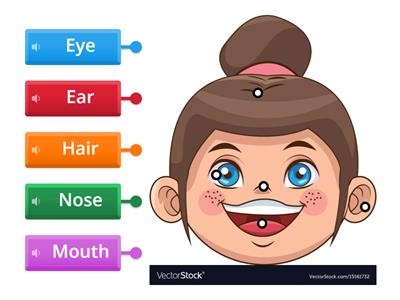  Parts of the Face  SP 2 11a