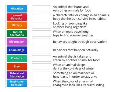 Animal Adaptations