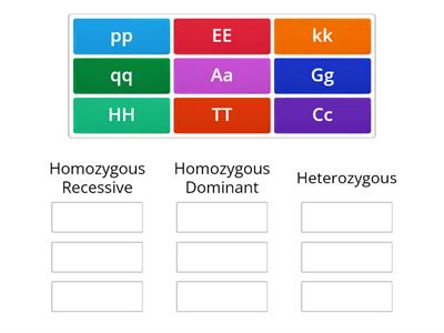 Genotype Review