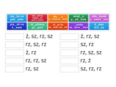 sz, rz, ż