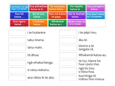 Wiki 15 - katoa: completely, very, intensifier (Māori)