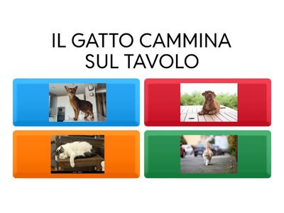 COMPRENSIONE DI FRASI SEMPLICI