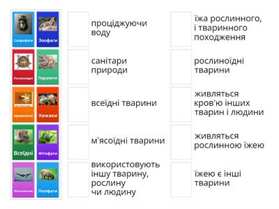 ЯК ЖИВЛЯТЬСЯ ТВАРИНИ