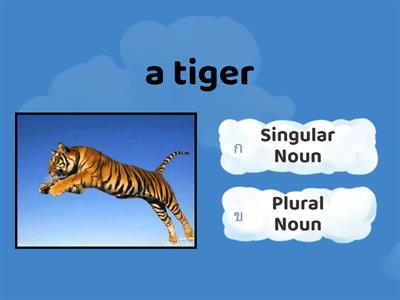 Singular and Plural Nouns