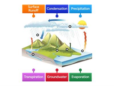 Water Cycle (Year 7)