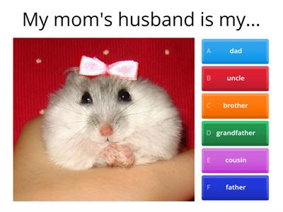 Family members vocabulary - quiz