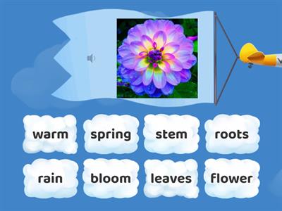 Spring Vocabulary