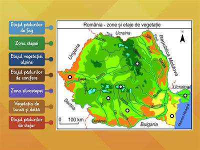 Vegetația României