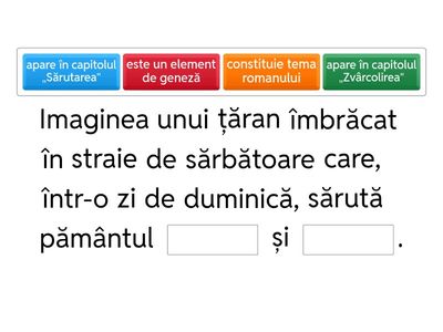 X - „Ion” de Liviu Rebreanu - Elemente de structură