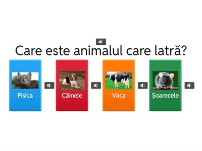 Recunoaștem animalele