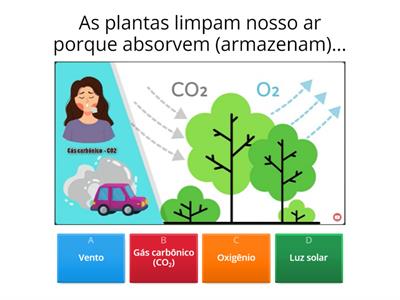 Importância das plantas