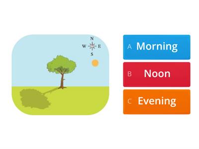 Shadows Change Through the Day Quiz (4th-5th Grade Science)